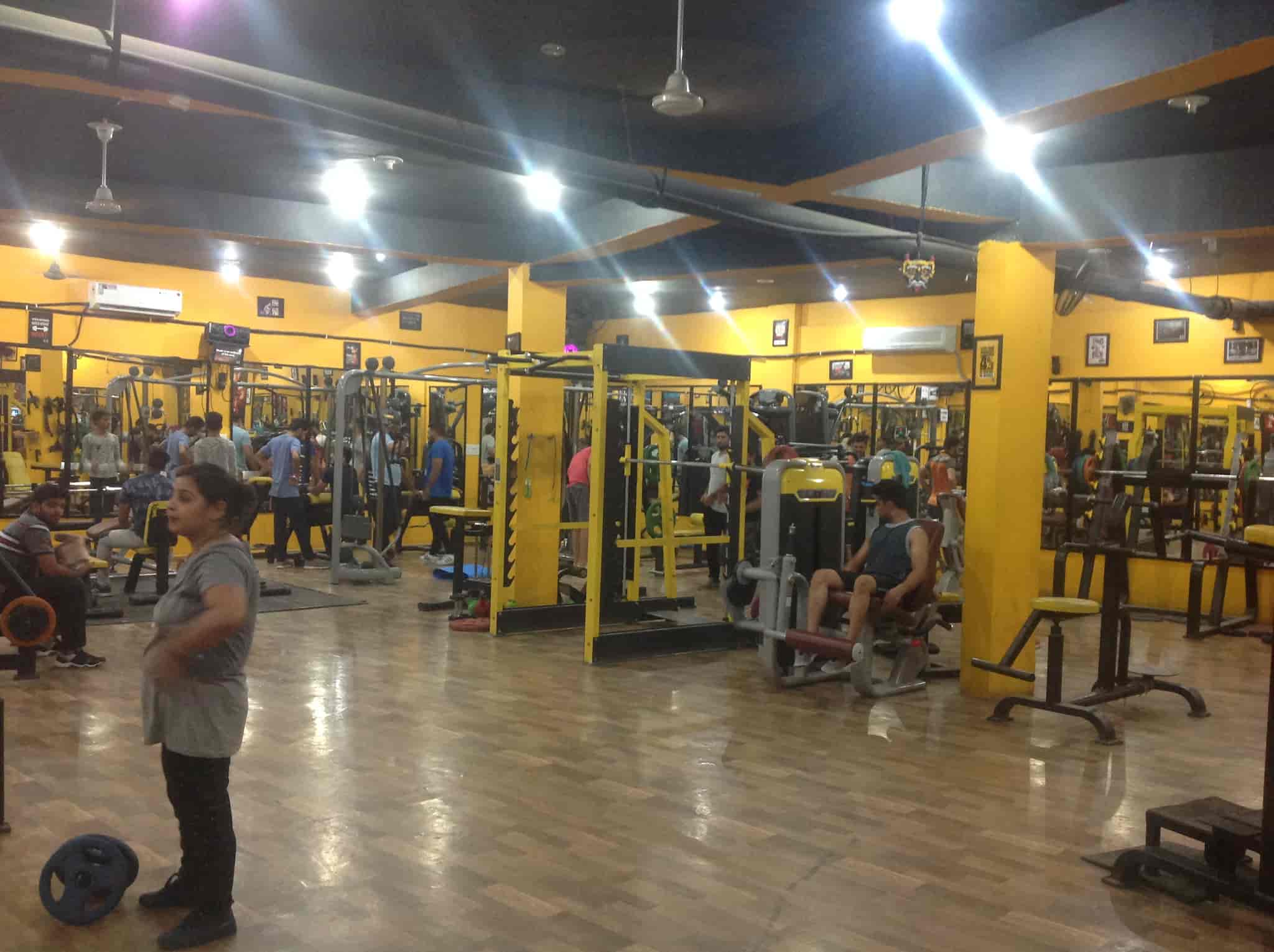 Zx Gym