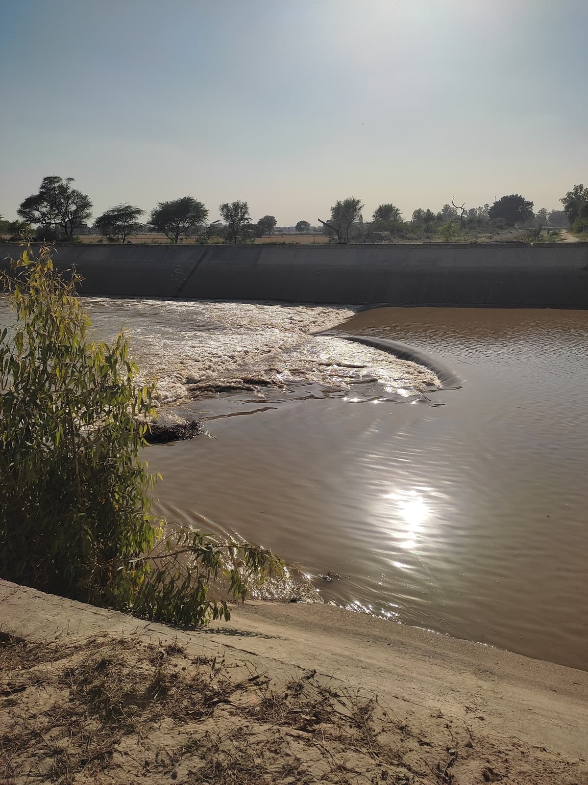 Kala Teetar Wildlife Sanctuary